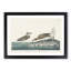 Wilsons Plover Birds by John James Audubon - Picture Frame Painting Print-55641005-55641003
