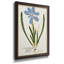 Toile encadrée de qualité supérieure avec impression nature de Botanicals-1134021733
