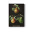 Poire (Pyre) - impression sur toile tendue-105256077