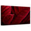 Bractées rouges de poinsettias-1918322904