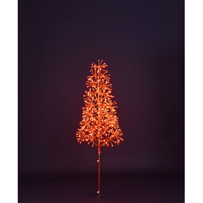 Lighted Trees & Branches