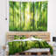 Forêt de paysage avec des rayons de sun panorama tapisserie-28483643