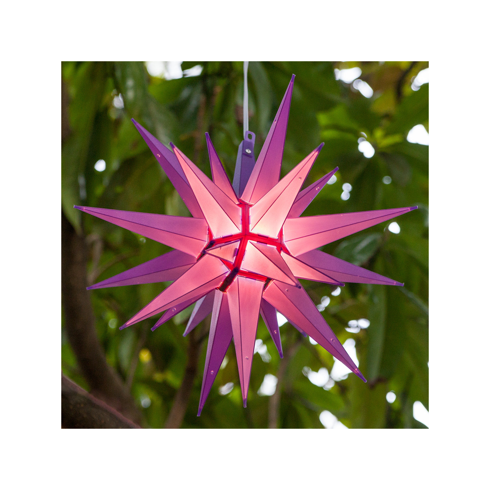 Moravian Star Lighted Display, Purple