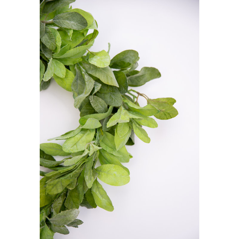 Faux Lambs Ear 20'' Wreath