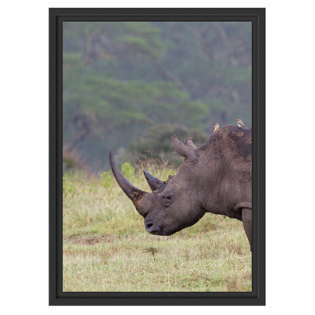 Gerahmtes Wandbild großes Nashorn in der Savanne