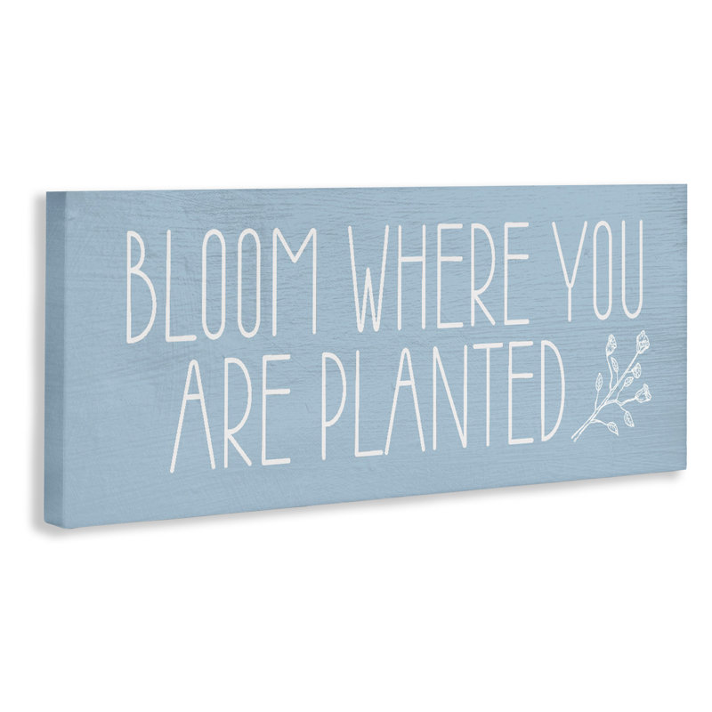Toile «Bloom Where You Are Planted» par Lil 'Rue, H 20 po x l 48 po