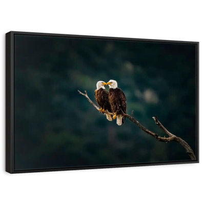 California Bald Eagles