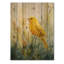 Oiseau canari dans les fleurs III - Art mural en bois oiseau - sur bois de pin naturel-963728803