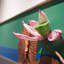 Creative Lotus Wall Decor