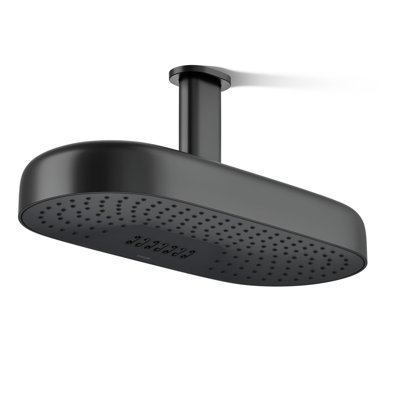 Statement 18" 2.5 GPM Oblong Rainhead