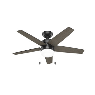44" Bardot 5 - Blade Ceiling Fan With Lights and Pull Chains