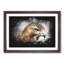 Hawk - Picture Frame Graphic Art Print-56863372-56863373