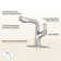 CASAINC Single-Handle Pull-Out Bathroom Faucet Single Hole Faucet with Deck Plate