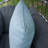 Outdoor Throw Pillow