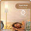 165cm Polished LED Traditional Floor Lamp