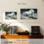 Cheval blanc bord de mer-107947935