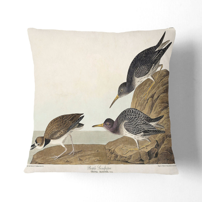 Square Cushion, White, 55cm H x 55cm W x 20cm D