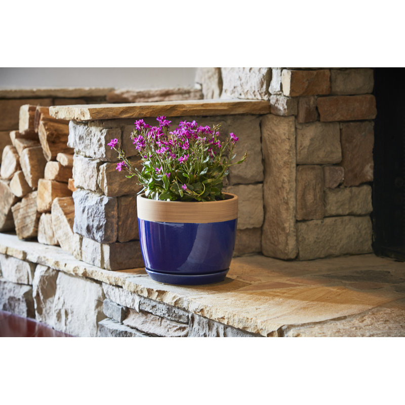 Ana Ceramic Pot Planter with Saucer