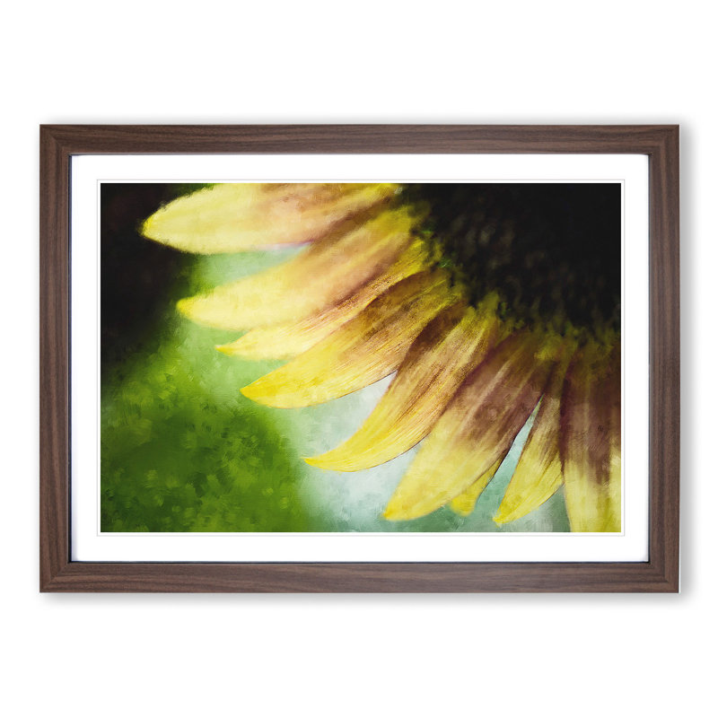 Sunflower Vol.1 - Picture Frame Painting, 36cm H x 48cm W x 2cm D, Walnut Framed
