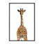 Art girafe bout à bout-49839917-49839921