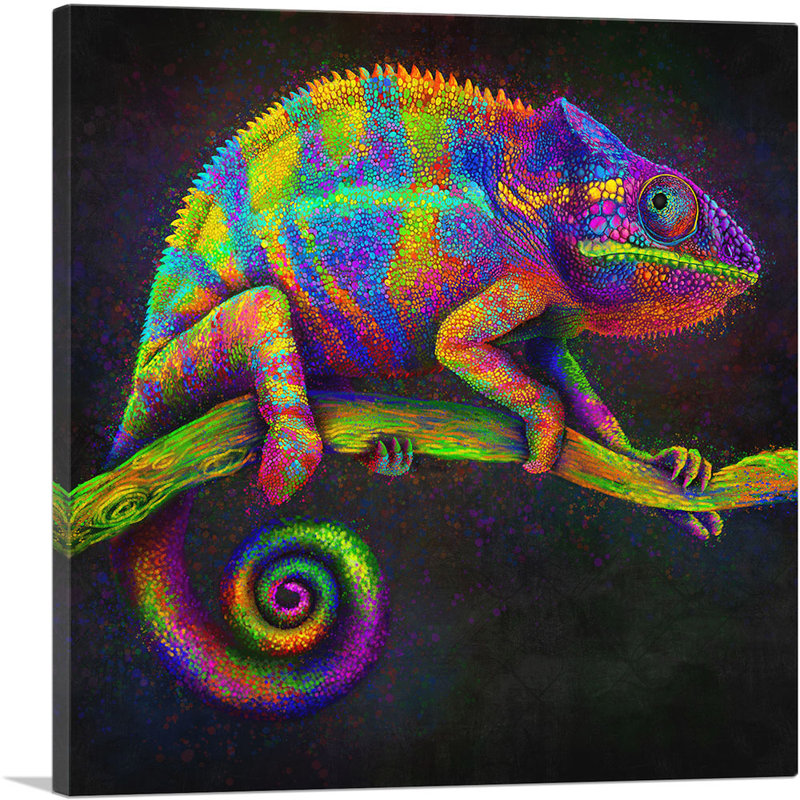 Chameleon lézard reptile - reproduction d'art sur toile tendue, H 26 po x l 26 po x P 1,5 po
