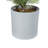 24'' Faux Pine Tree in Pot