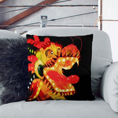 Square Throw Cushion