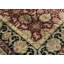 Crown Wool Oriental Area Rug in Brown