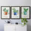 «Pots Basil», ensemble de 3 impressions sur toile tendue-241935300-241935326