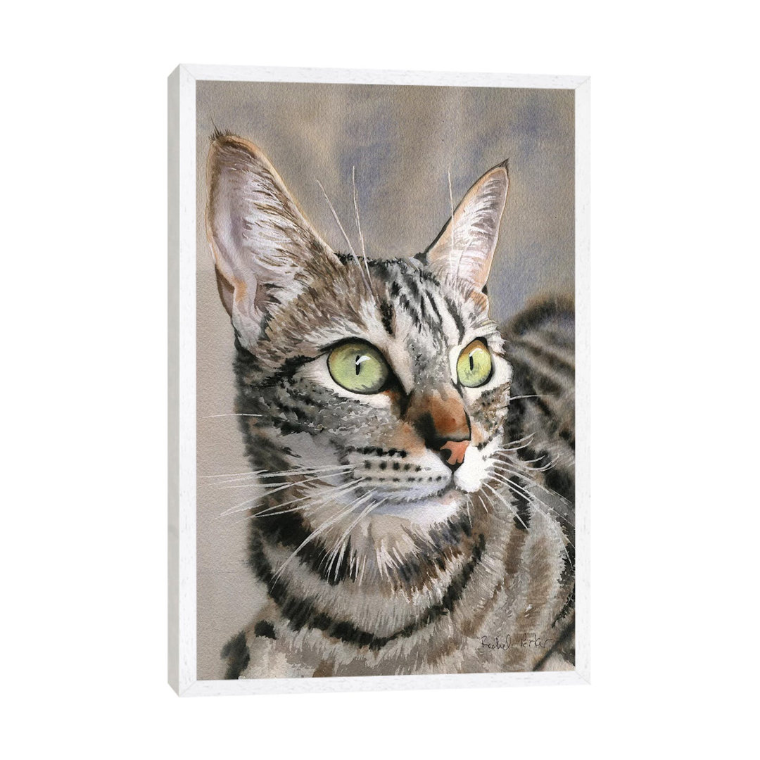 Tabby Eyes von Rachel Parker - Galerie-verpackte Leinwand Giclée auf Leinwand