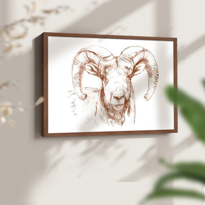 Big Horn Sheep II - Reproduction encadrée - Restickable