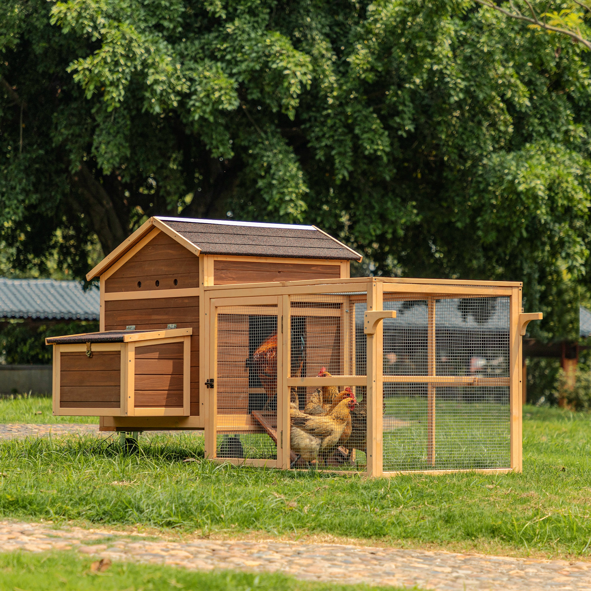 Tucker Murphy Pet™ Doryan Chicken Coop | Wayfair