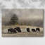 Toile tendue Ridge-884191995