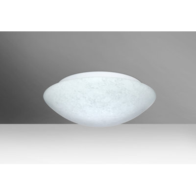 White 2 -Bulb Outdoor Flush Mount