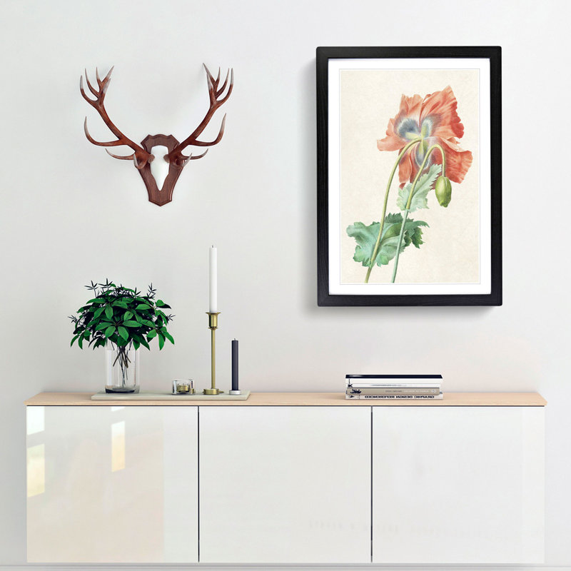 Poppy Flower by Pierre-Joseph Redoute - Picture Frame Painting Print, 36cm H x 27cm W x 2cm D, Black Framed