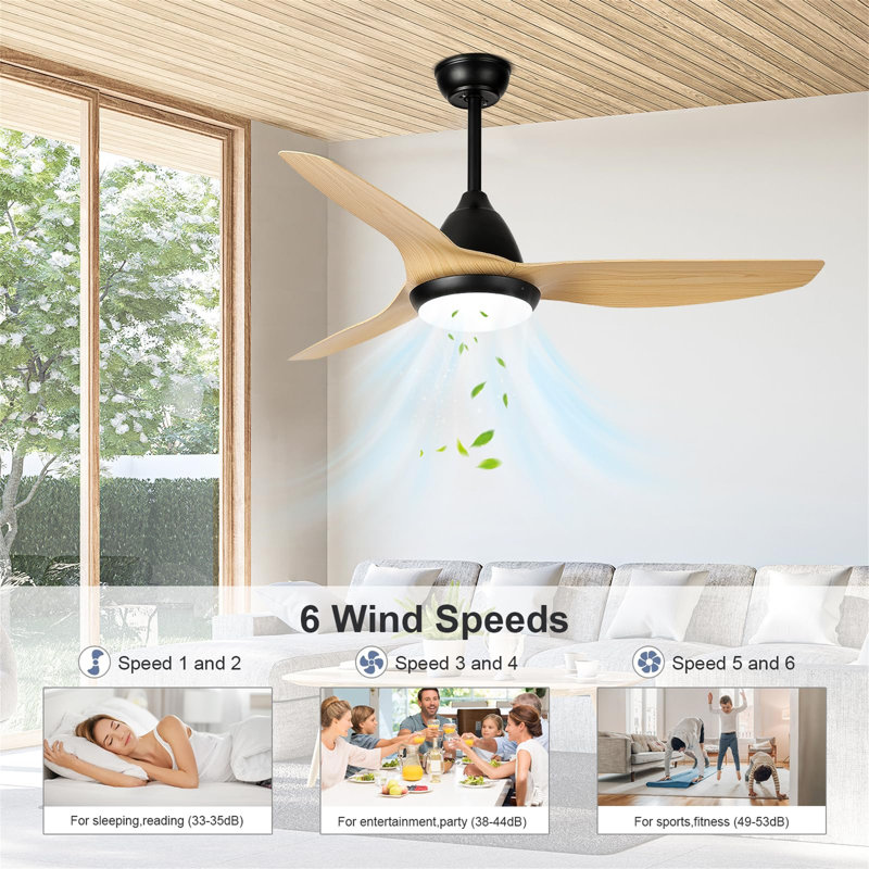 Ceiling Fan with LED Lights