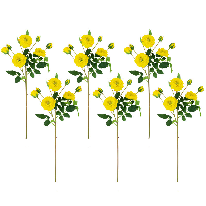 Jets de roses, Jaune