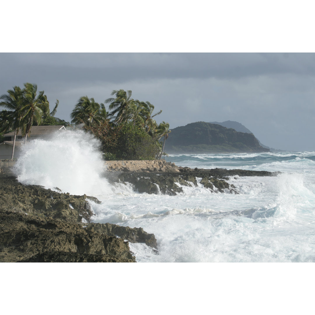 Hawaii Coastline von Sjharmon - Leinwand Kunstdrucke