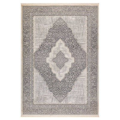 Tanyell Oriental Indoor Rug
