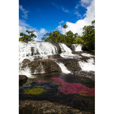 Kwan Cano Cristales - Wrapped Canvas Print