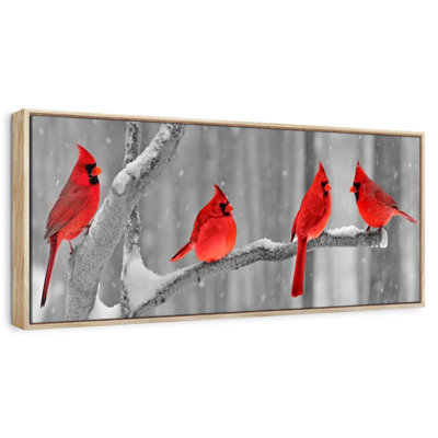 Cardinal Birds
