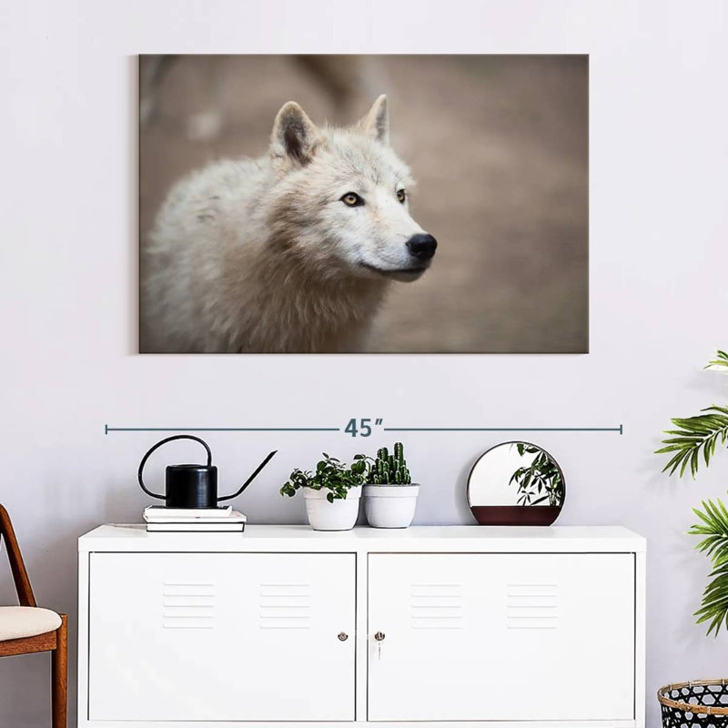 Loup blanc arctique, H 26 po x l 39 po