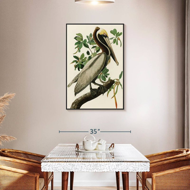 Pélican Audubon, Cadre flottant noir, 29 po x 43 po