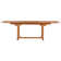 Celise Extendable Rectangular Teak Outdoor Dining Table