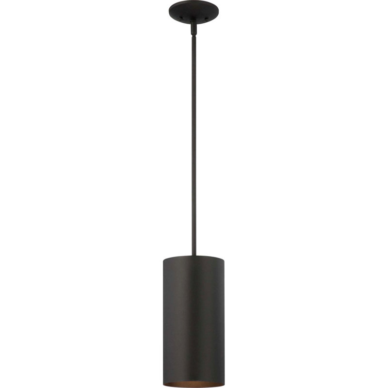Beaverson 1-Light Indoor or Outdoor Black Aluminum Cylinder Mini Pendant, Black