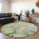 Premium Machine Washable Cerrito AMF506 Green Rug