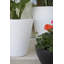 Cono Resin Pot Planter-49174515-49047607