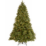 6.5 Ft. Downswept Douglas Fir Tree With Dual Color LED Lights