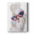 Shi Tzu Shades -Gallery Wrapped Cavas-48756360