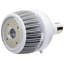 100 Watt White LED Bulb-1498498954